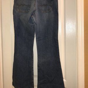 Lucky Brand Jeans Size 14 (32) Sweet and Low